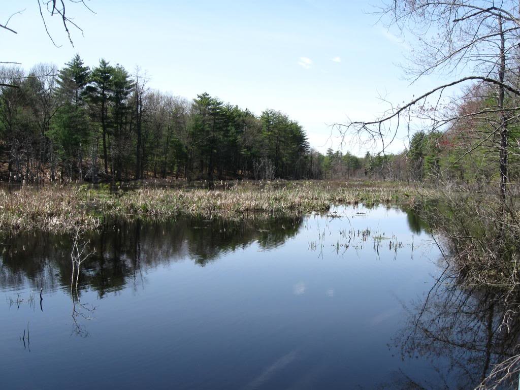 Assabet River Fishing in Massachusetts - Maps, Reports, & Best Spots ...