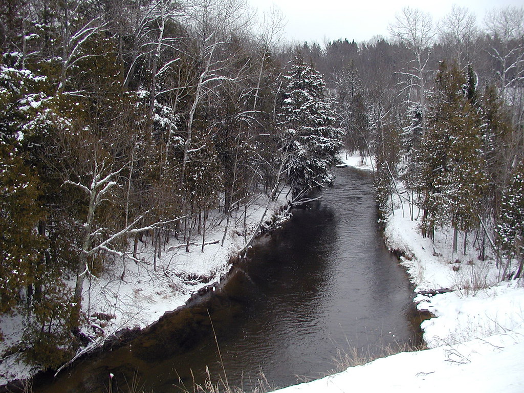 Betsie River Fishing in Michigan - Maps, Reports, & Best Spots ...
