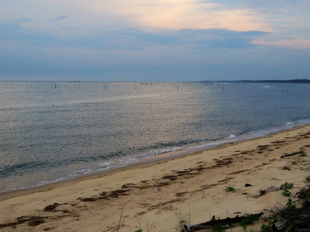 Bowie, MD Fishing Spots - Where to Fish Near Bowie | onWater United States