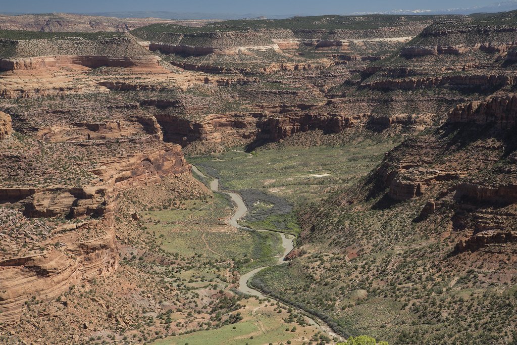 Dolores River Fishing in Colorado - Maps, Reports, & Best Spots ...