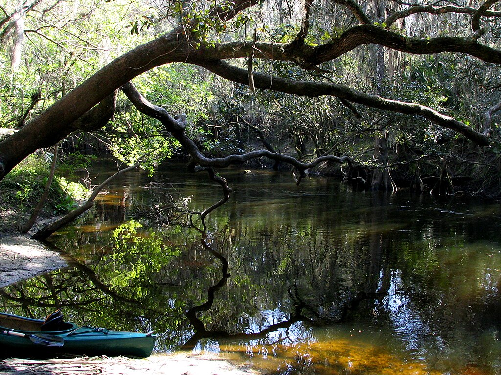 Alafia River Fishing in Florida - Maps, Reports, & Best Spots | onWater ...