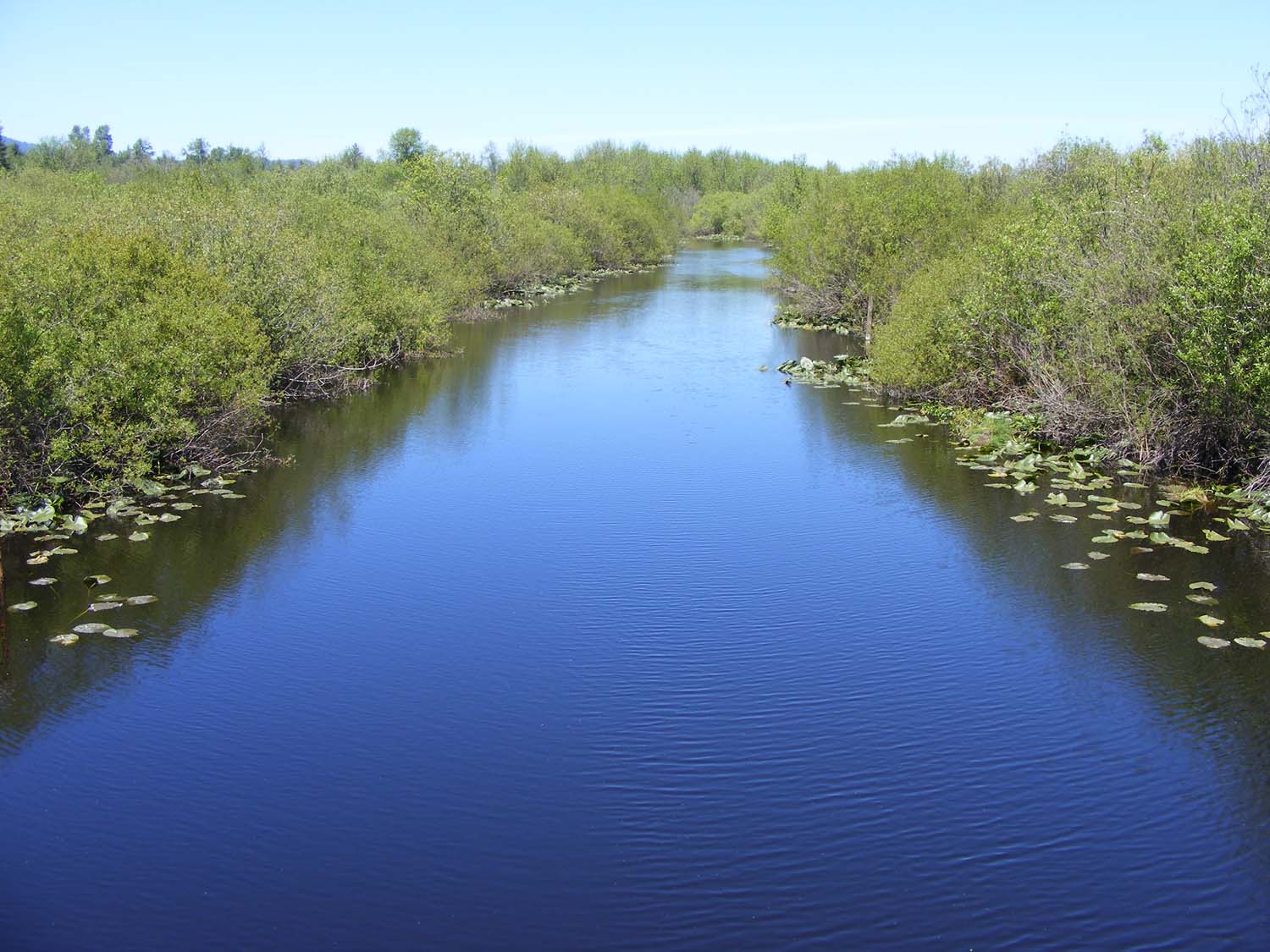 Black River Fishing in Washington - Maps, Reports, & Best Spots ...