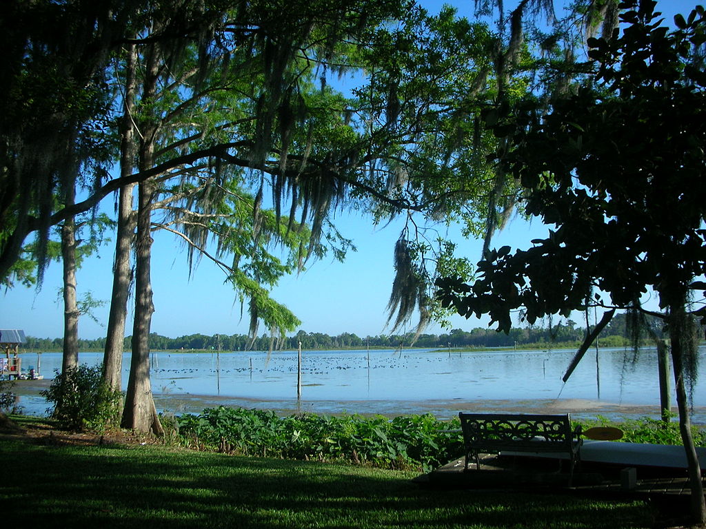 Lake Rousseau Fishing in Florida - Maps, Reports, & Best Spots ...