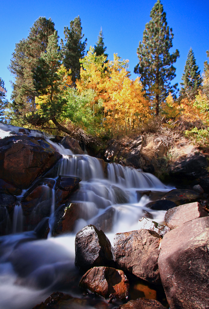 Lee Vining Creek Fishing in California - Maps, Reports, & Best Spots ...