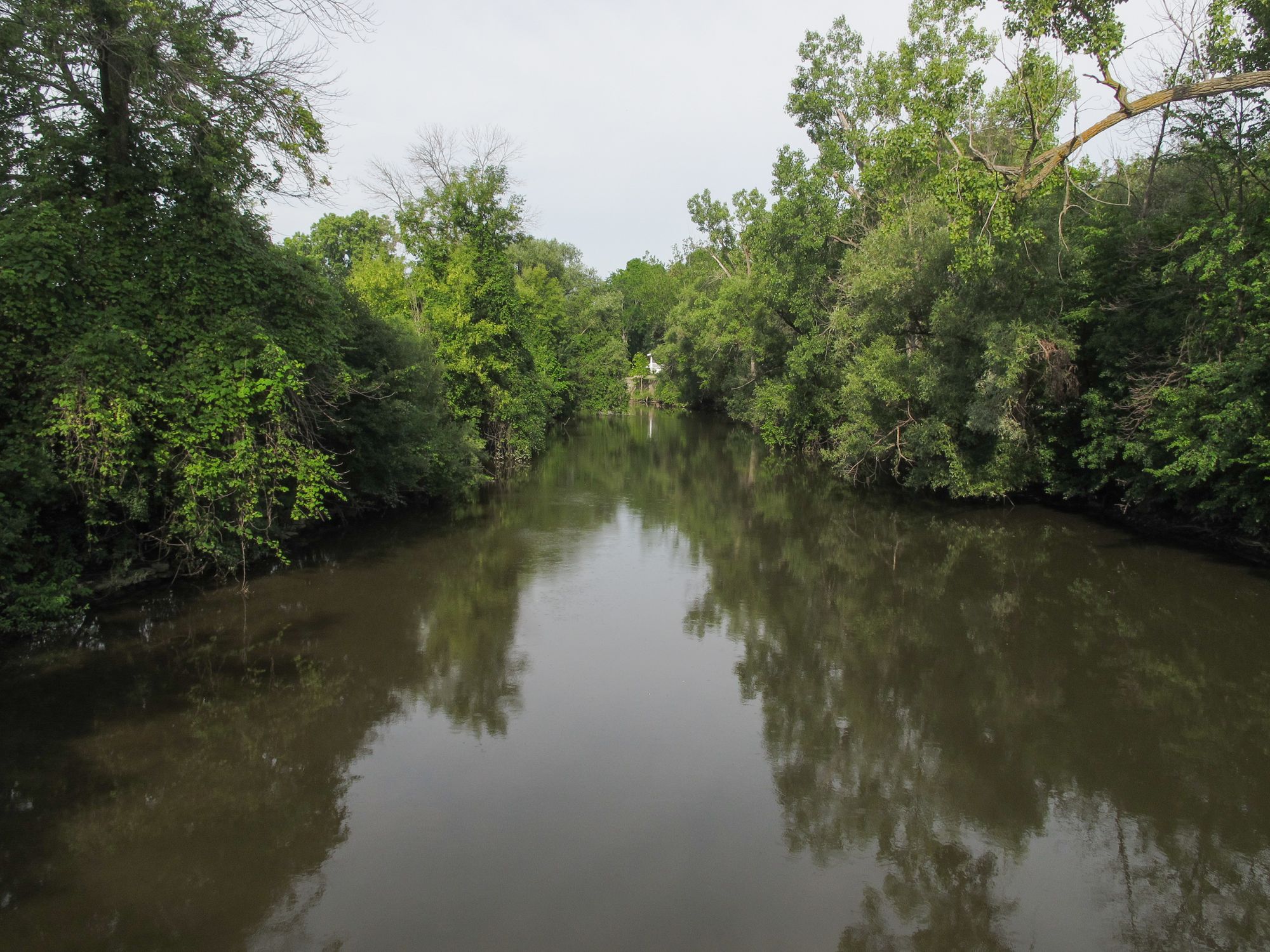 Pine River Fishing in Michigan - Maps, Reports, & Best Spots | onWater ...