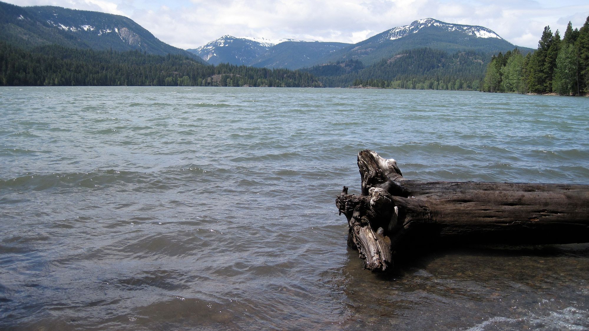 Rimrock Lake Fishing in Washington - Maps, Reports, & Best Spots ...