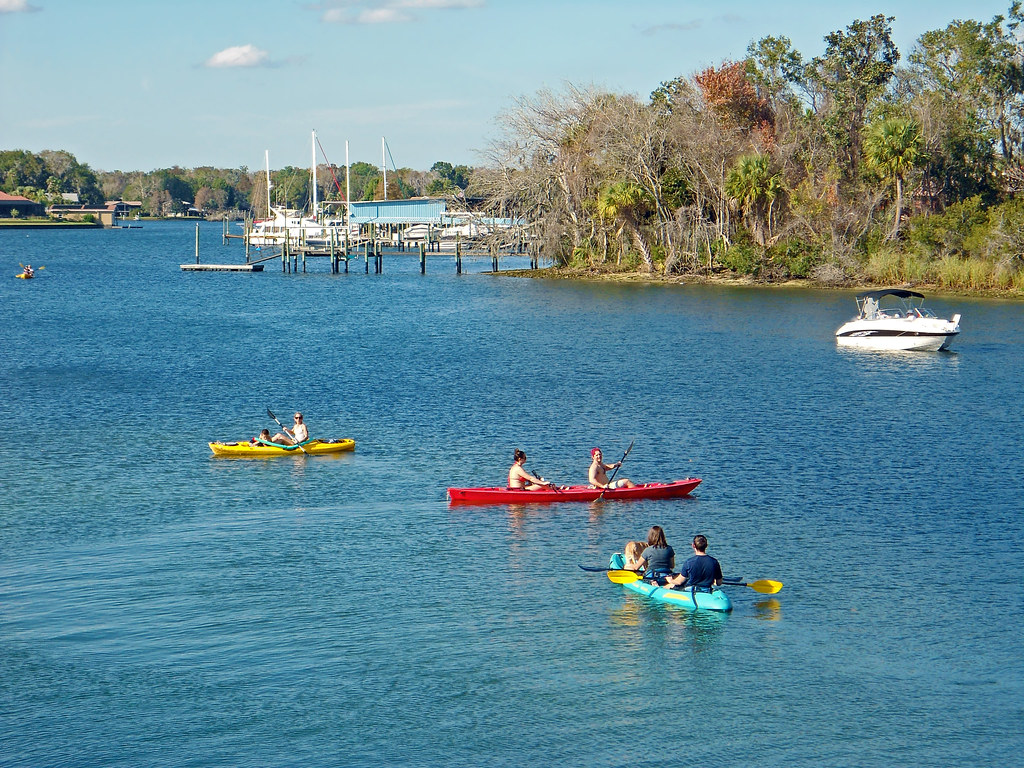 Kings Bay Fishing in Florida - Maps, Reports, & Best Spots | onWater ...