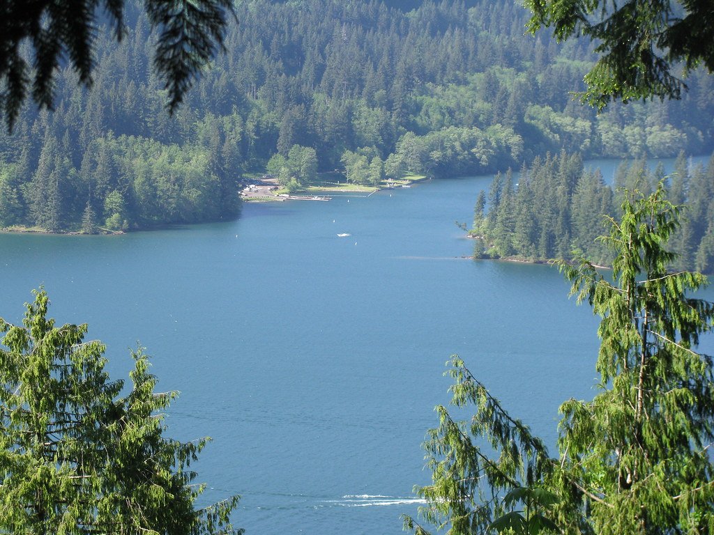 Lake Merwin Fishing in Washington - Maps, Reports, & Best Spots ...