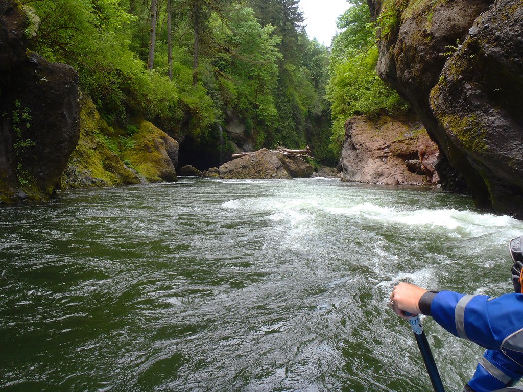 Sandy River Fishing in Washington - Maps, Reports, & Best Spots ...
