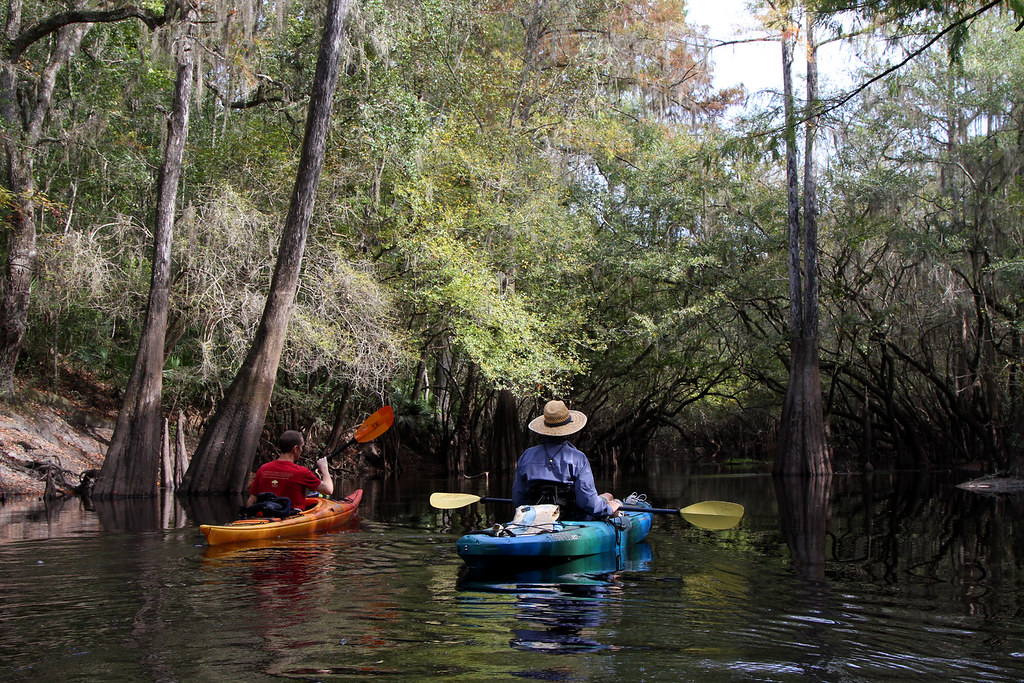 Santa Fe River Fishing in Florida - Maps, Reports, & Best Spots ...