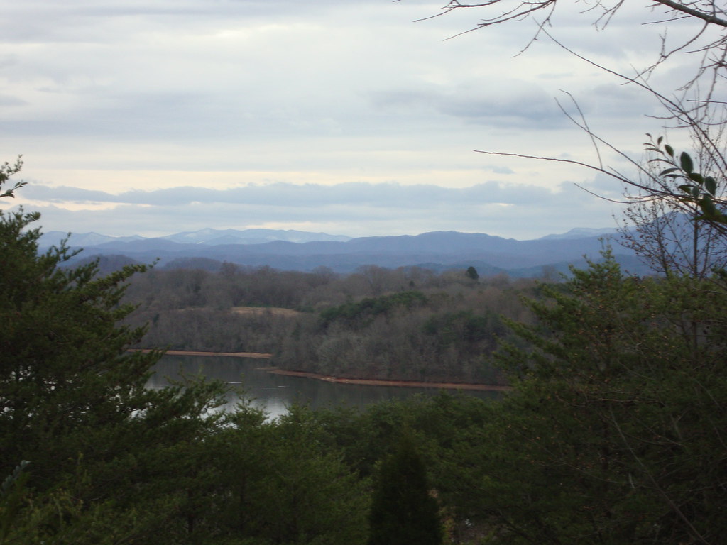 Tellico Lake Fishing in Tennessee - Maps, Reports, & Best Spots ...