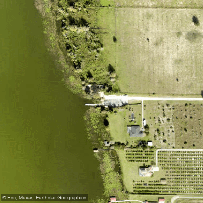 Fishing near Astatula Park Boat Ramp on Lake Harris in Florida ...