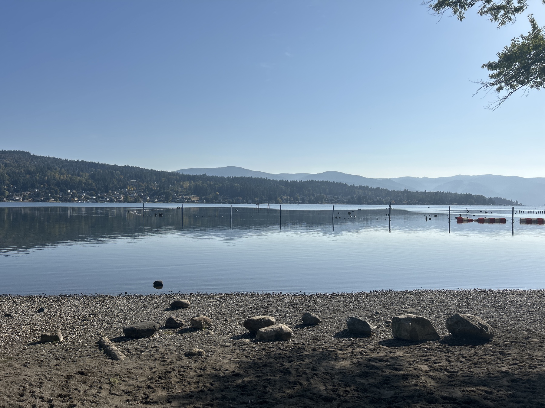 Lake Whatcom Fishing in Washington - Maps, Reports, & Best Spots ...