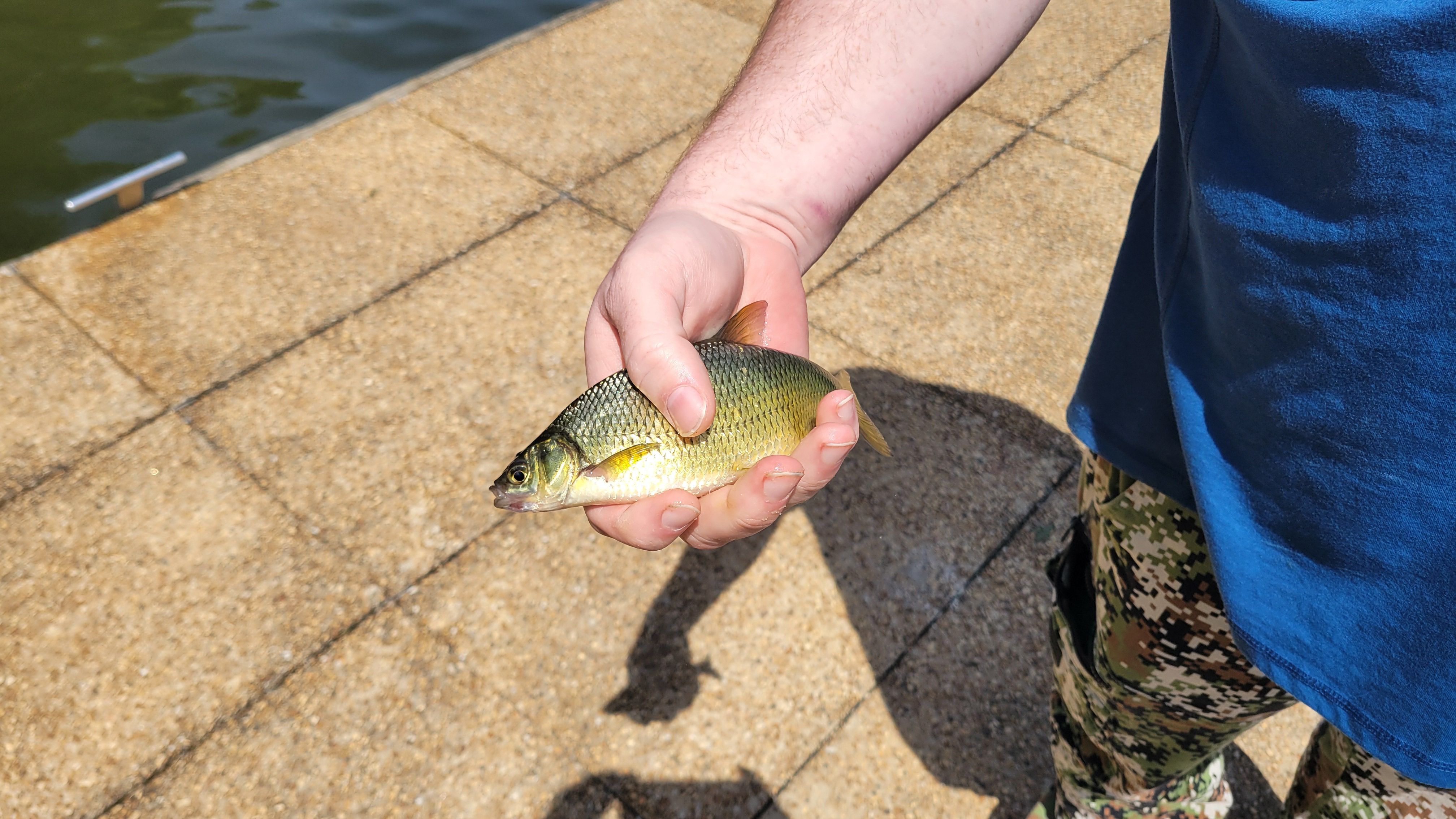 best trout fishing rods and reels for cheap amount The Best Trout Spinning Reels of 2026, Expert Tested